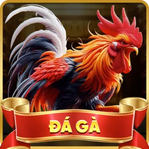 Biểu tượng công bằng và minh bạch trong trò chơi của b66 game.