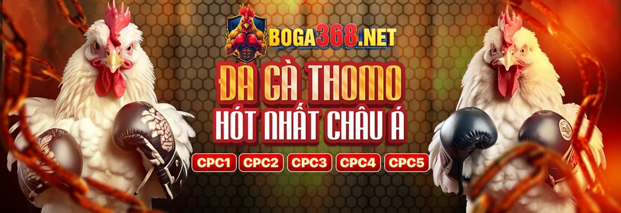 Ứng dụng b66 game trên điện thoại di động
