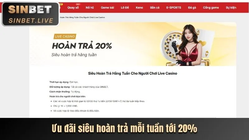 Hình ảnh hoàn trả cược slot